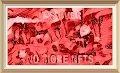 #FreeNFTs Collection