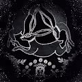 MOON RABBITS: Abstracts