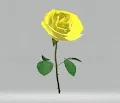 Roses gif collection