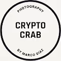 Crypto-crab