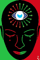 The Imperfect Mind