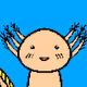 Cryptolotl