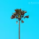 PALM MCMS NFT