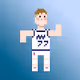 The Pixel Dunks