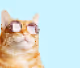 MyCatPixel
