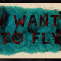 We Want To Fly