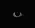 #GIF 1