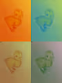 CryptoAnimals Collection