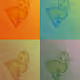 CryptoAnimals Collection