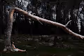 PsychoWonderLand
