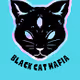 BlackCats V3
