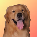Wreck It Cooper