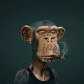 DARKAPES