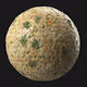 Spherical salad olivier NFT