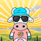 Milky Cows