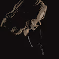 Ladies in chiaroscuro