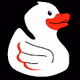 Hipe duck