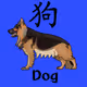 chinese horoscopes