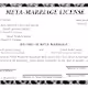 Meta-Marriage Licenses