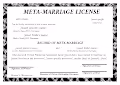 Meta-Marriage Licenses