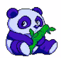 animal world panda