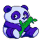 animal world panda