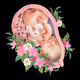 AnatomyLife Geburt