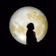 moon312