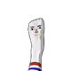 KRYPTOES