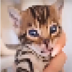 funny cool pixel cats