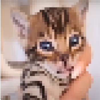 funny cool pixel cats