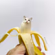 Everyone loves cats