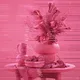 Amelia's pink fantasies