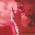 Amelia's pink fantasies