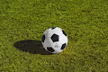 Club Flag Tokens