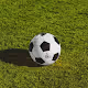 Club Flag Tokens
