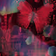 Stylish Butterfly NFTs