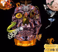 head coin