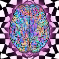 Magic Mind Exclusives