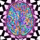 Magic Mind Exclusives