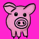 Nice pigs