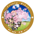 16snows CryptoNinja Funart