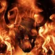 THE HELL CLUB