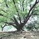 Perceptions of nature