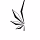 WeedWorks Monthly