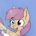 Pony na polygone