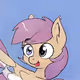 Pony na polygone