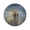 Digital Elephant