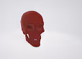 THE  3D SKULLS