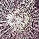 Angel's Objective Abstraction Polygon